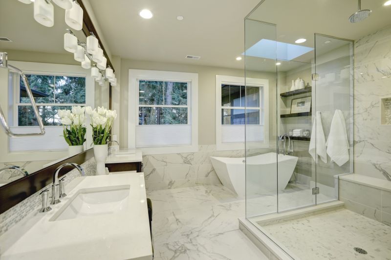 Shower Renovation Examples